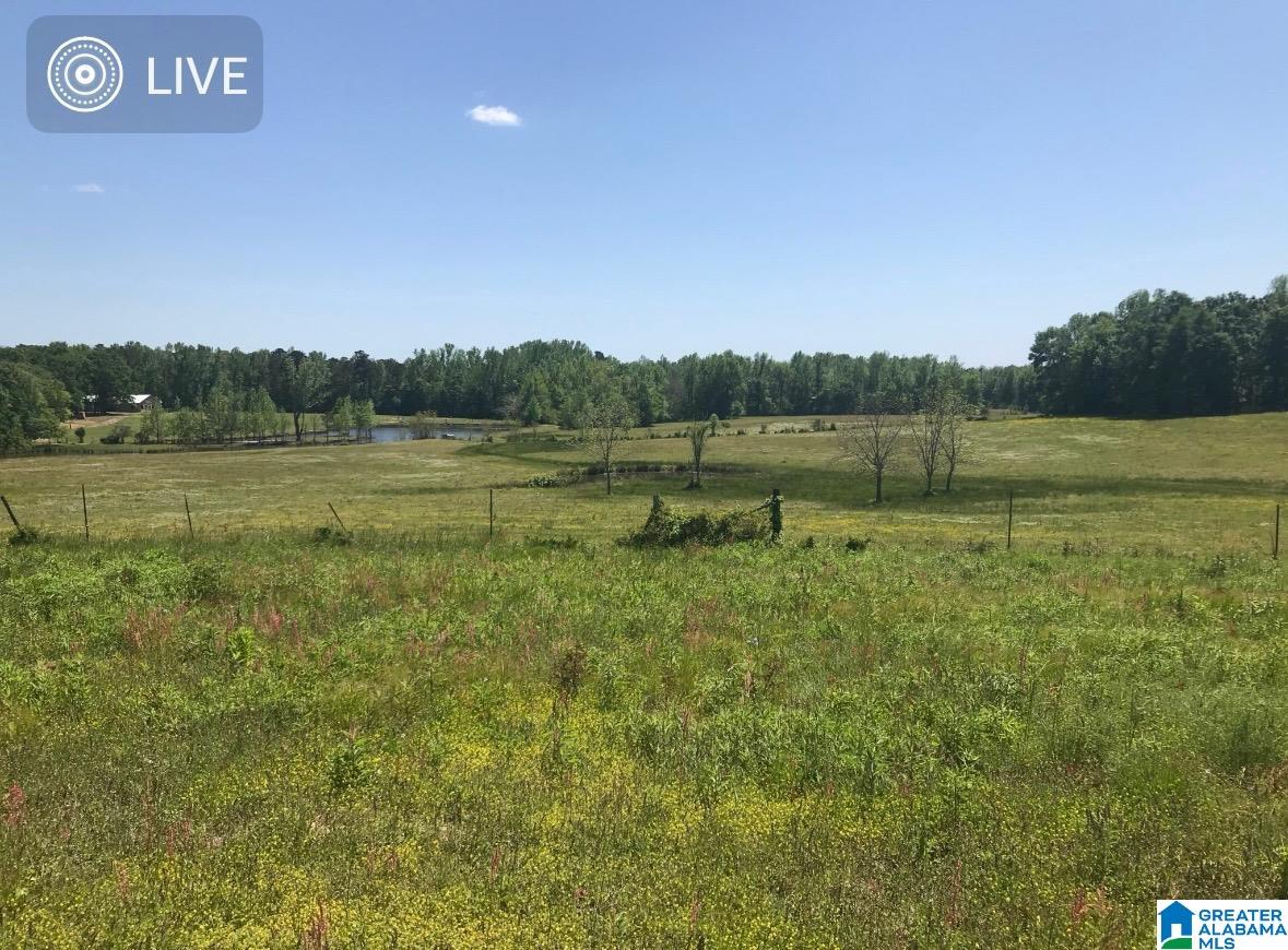 0 New Harmony Road, Unit 35 ACRES / Clanton, AL 35045 - Photo 17 of 21