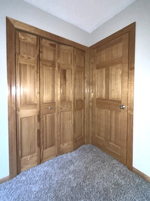 2707 Worcester Drive Champaign, IL 61821 - Photo 124 of 176