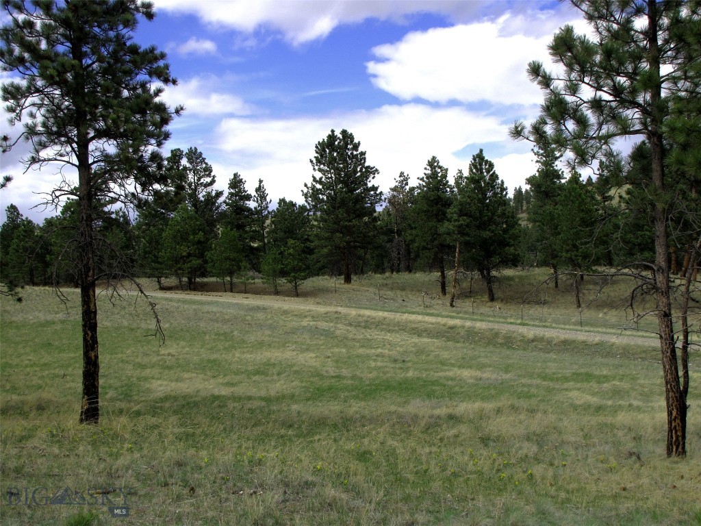 Tbd Tbd Wild Turkey Ridge Road Columbus, MT 59019 - Photo 6 of 55 Gallery Image 6