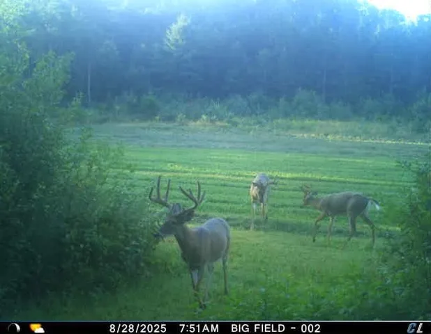 $715,000 | 1080 Admiral Road, Sparta, WI 54656