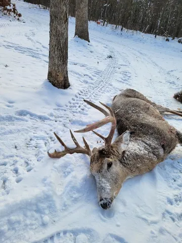 $715,000 | 1080 Admiral Road, Sparta, WI 54656