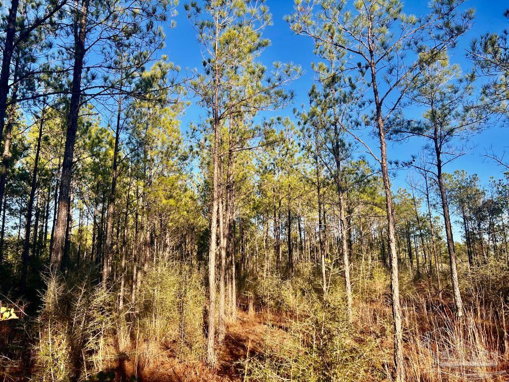 2211 10 Mile Road Pace, FL 32571 - Photo 3 of 13