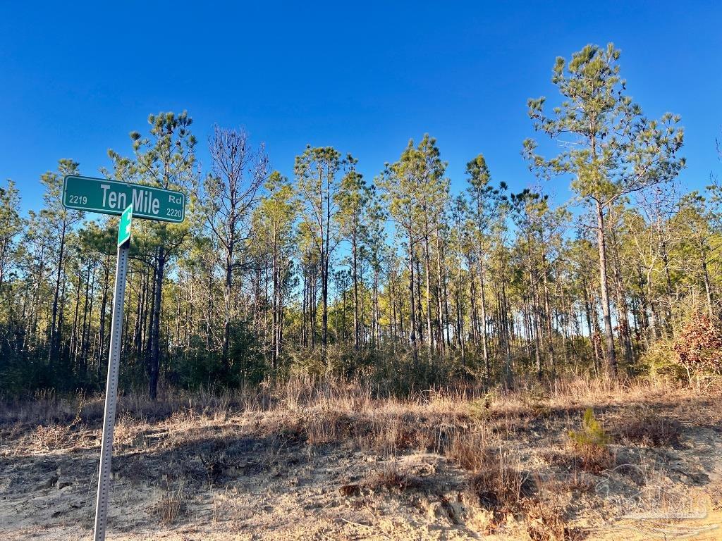 2211 10 Mile Road Pace, FL 32571 - Photo 6 of 13
