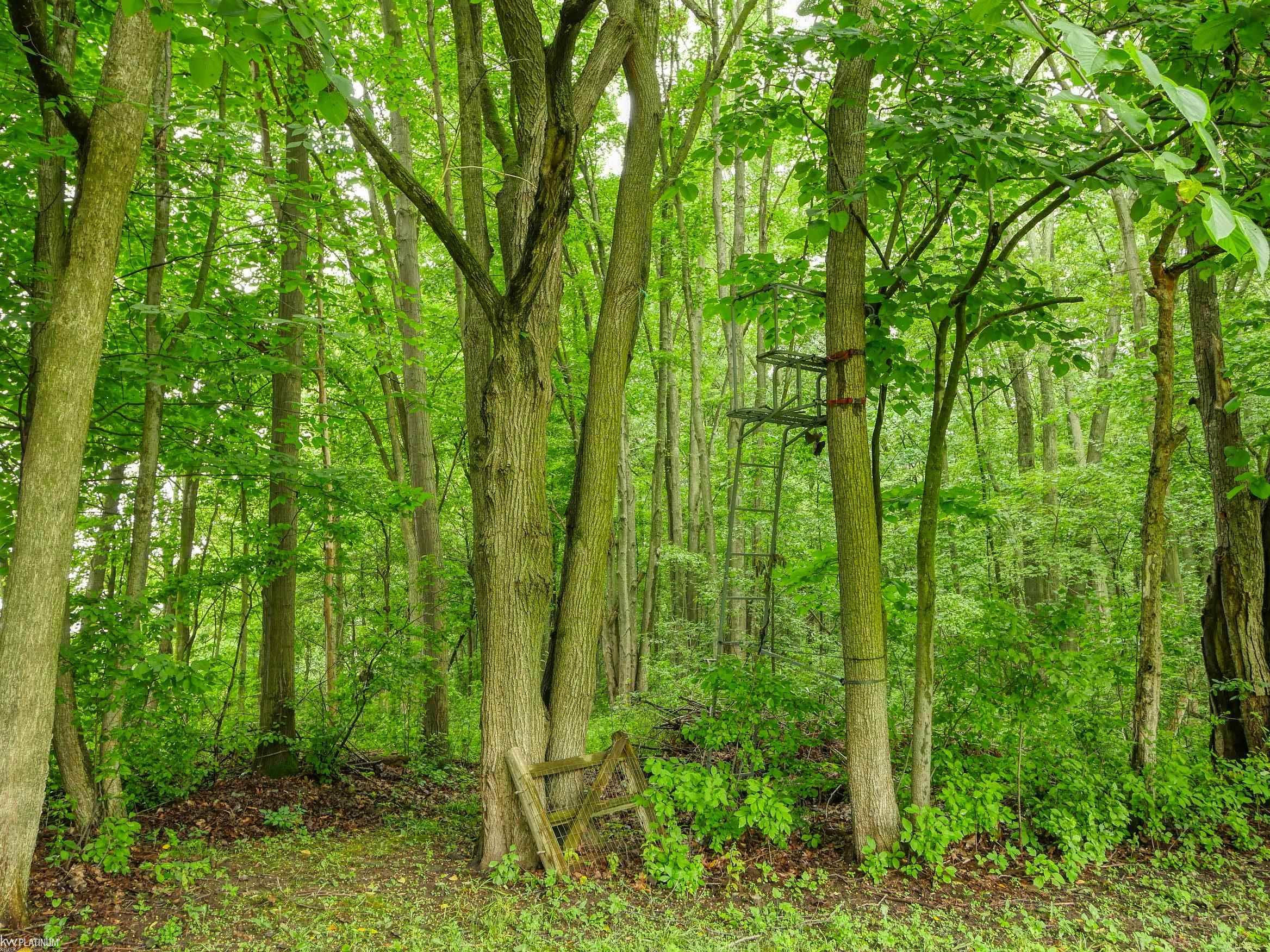 1900 Kronner Road Columbus, MI 48063 - Photo 10 of 58 50114265-9.JPG