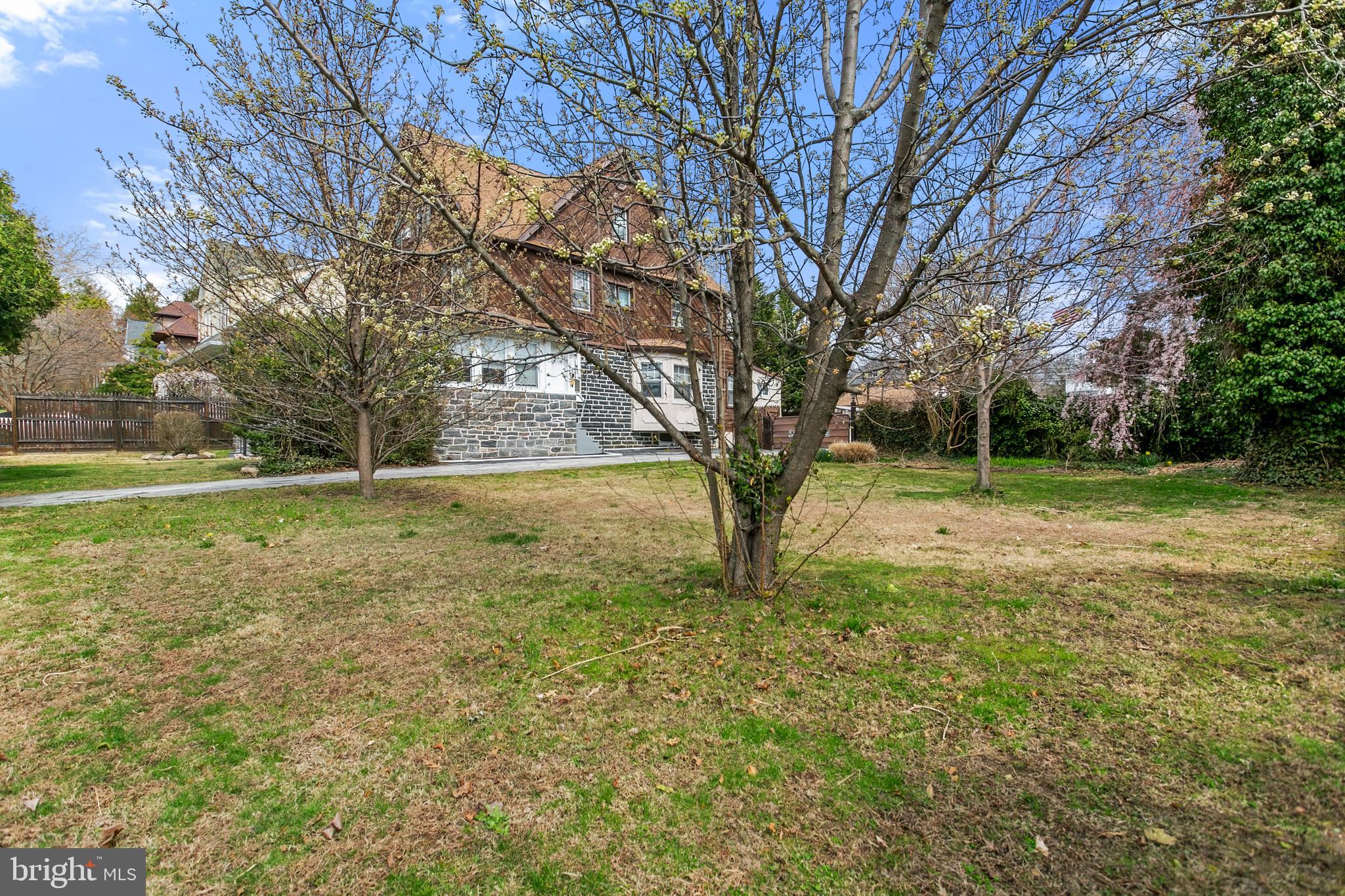341 Owen Avenue Lansdowne, PA 19050 - Photo 5 of 58 a view of a yard with a tree