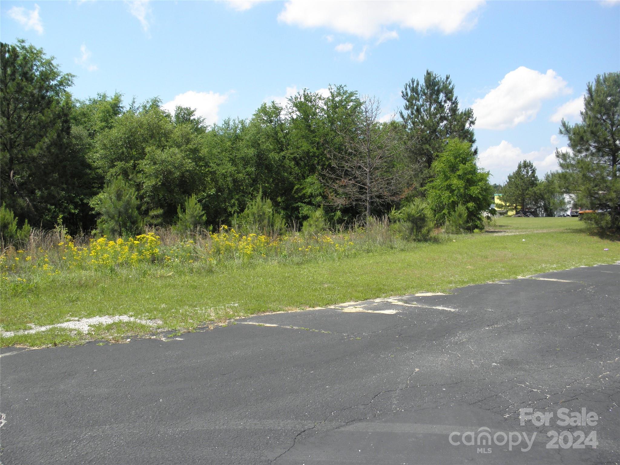 Tbd Chesterfield Highway Cheraw, SC 29520 - Photo 5 of 6 a view of a golf course