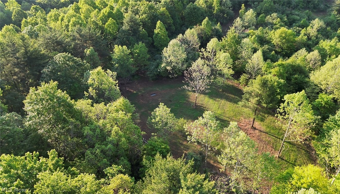 Crum Ridge Road Caldwell, OH 43724 - Photo 20 of 50