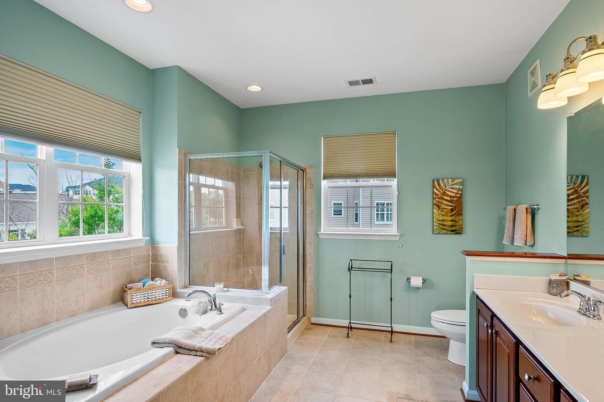 7305 Brookview Road, Unit 207 Elkridge, MD 21075 - Photo 16 of 51 Primary Bath