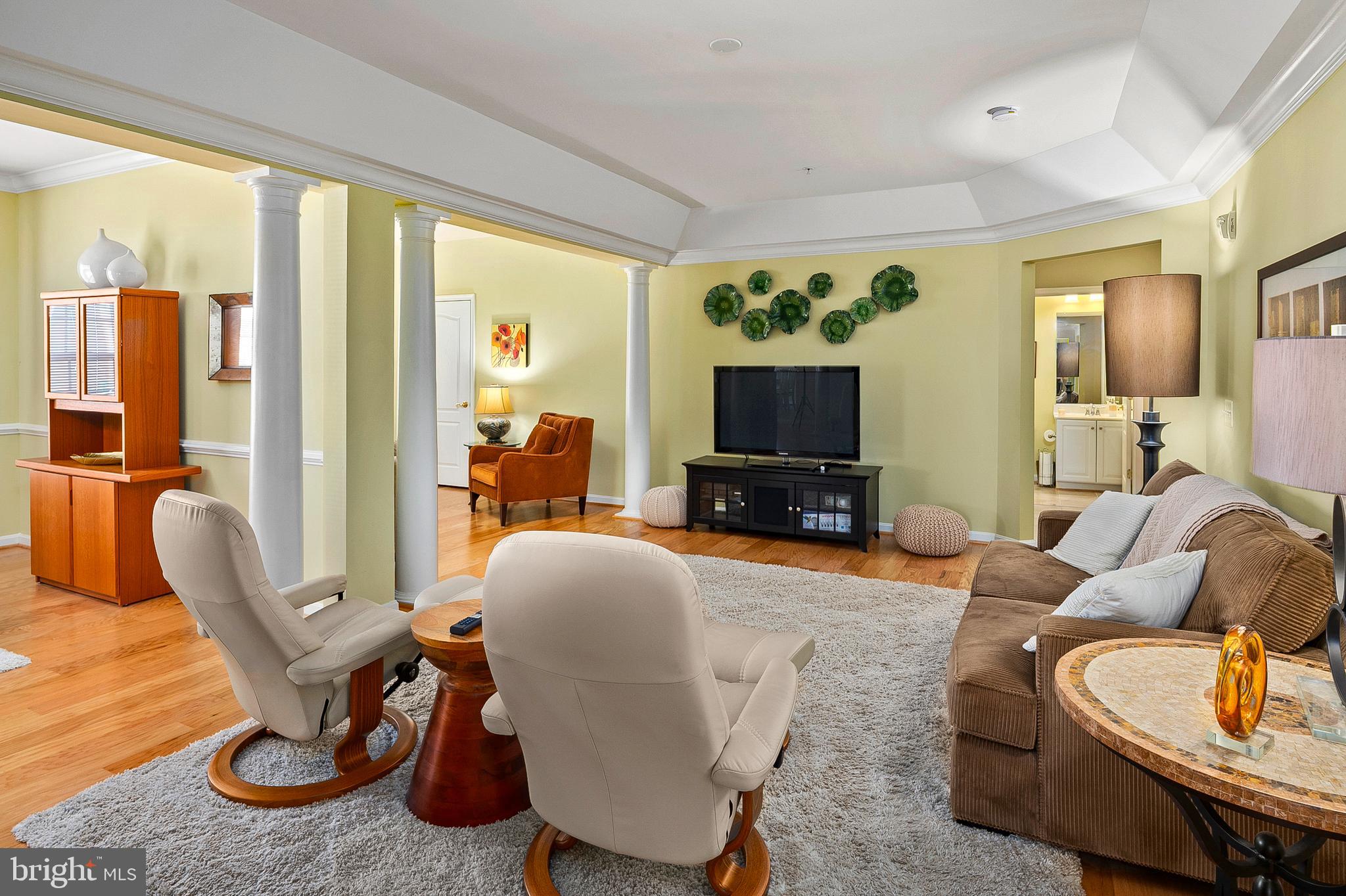 7305 Brookview Road, Unit 207 Elkridge, MD 21075 - Photo 5 of 51 Living Room