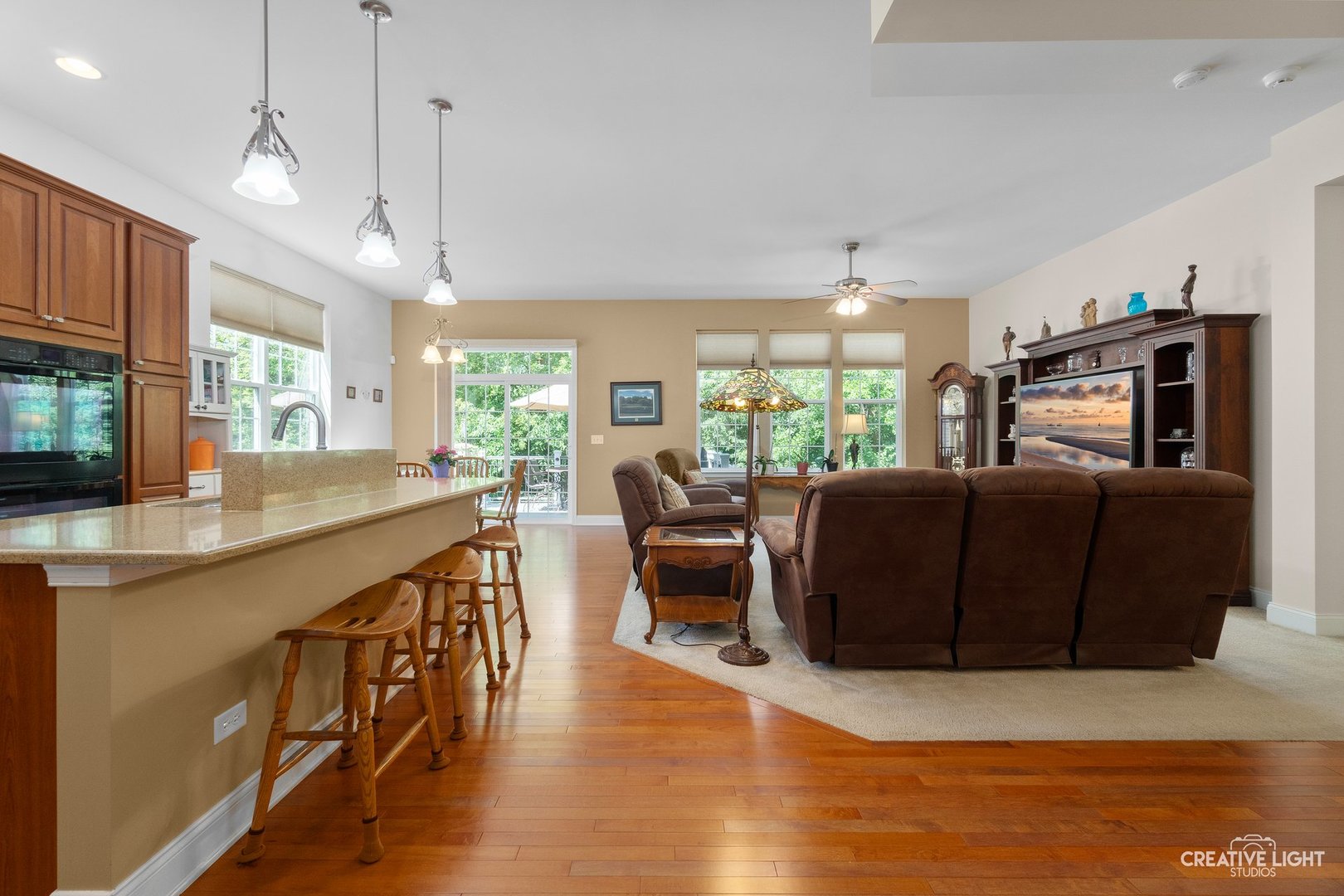 3872 Eagle Ridge Drive Elgin, IL 60124 - Photo 8 of 37 Gallery Image 8