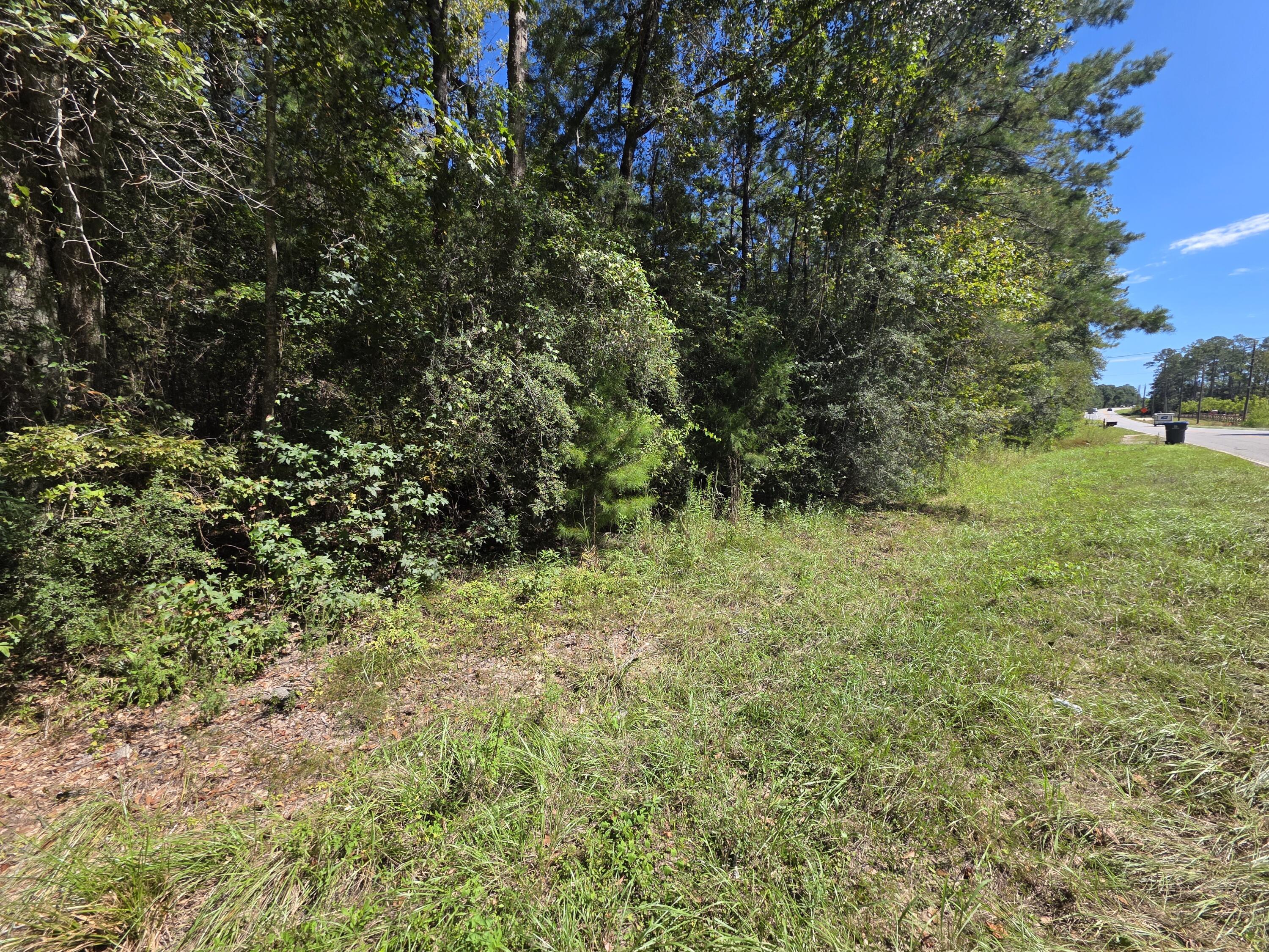 Lot 1-2 Antioch Road Crestview, FL 32536 - Photo 1 of 11 1000059456
