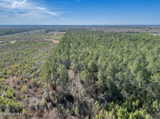 137.18-ac Ivanhoe Road Harrells, NC 28444 - Photo 7 of 21 Ivanhoe Rd 61