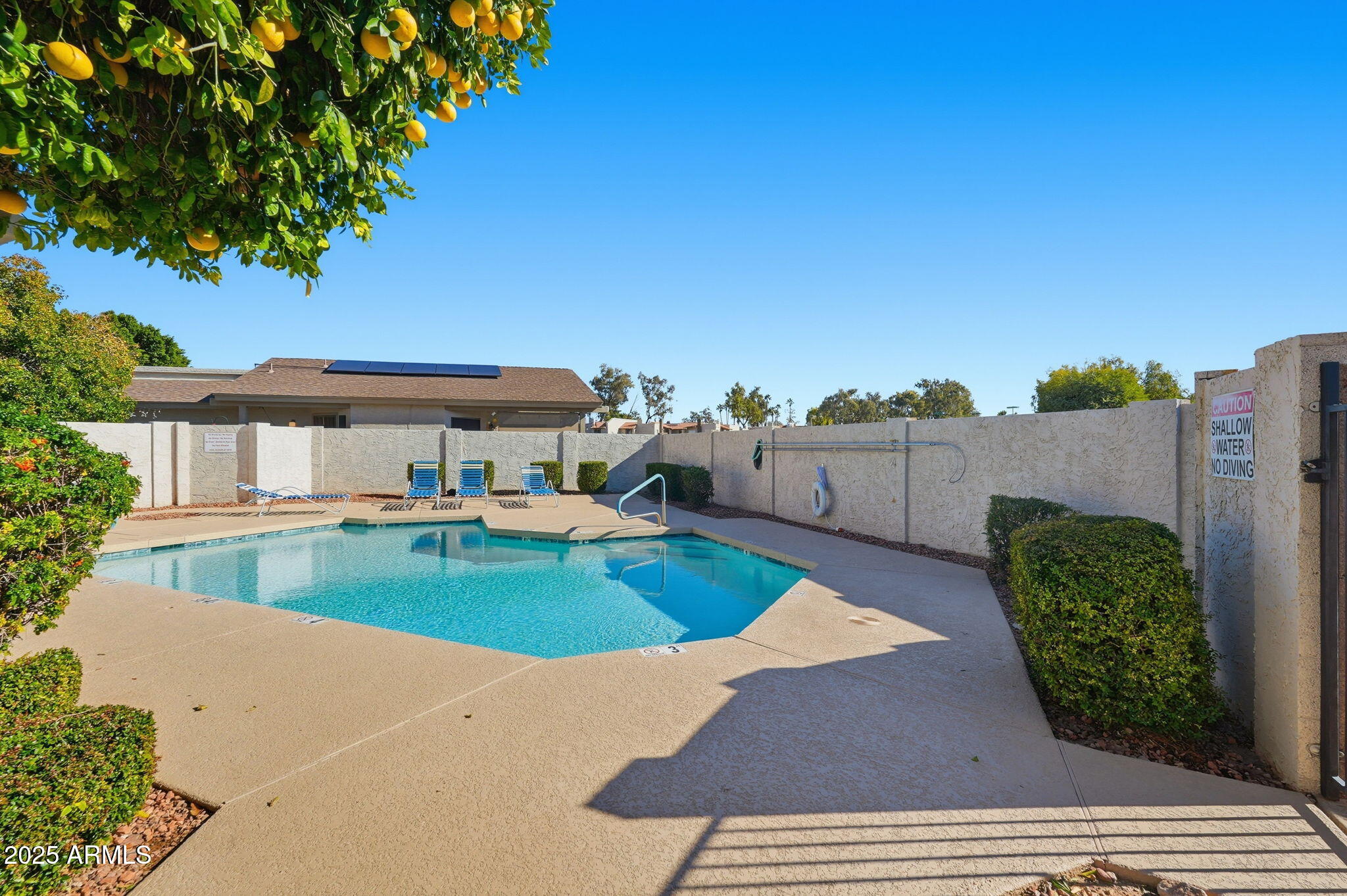18002 North 12th Street, Unit 26 Phoenix, AZ 85022 - Photo 21 of 25 swimming pool view with a seating space