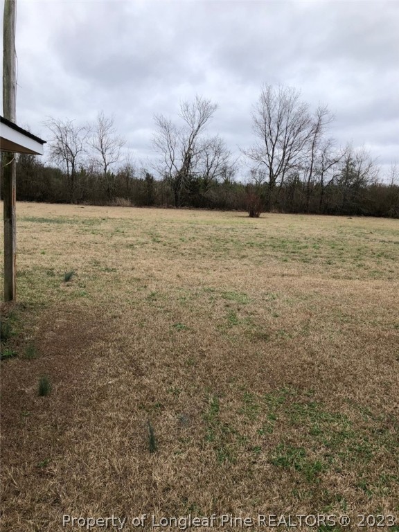 199 Herring Road Orrum, NC 28369 - Photo 7 of 20 a view of lake with trees in background