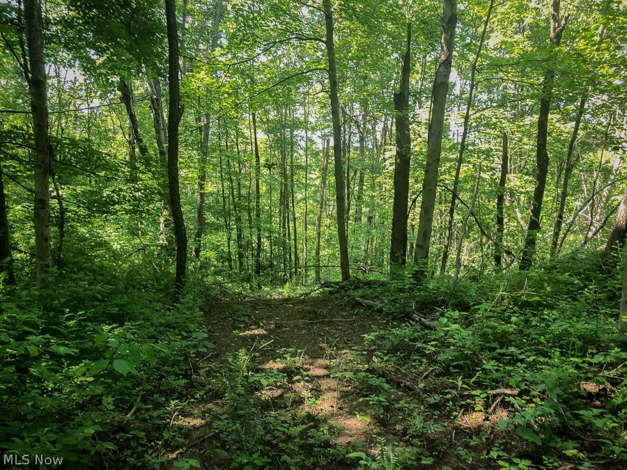 Robins Road Senecaville, OH 43780 - Photo 20 of 25 Gallery Image 20