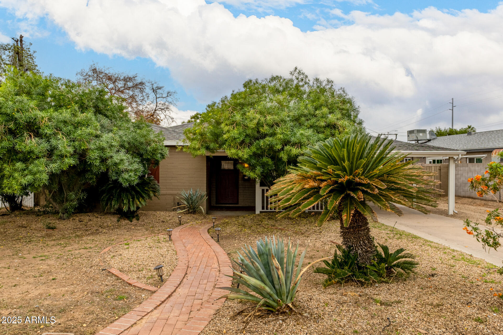 6842 North 10th Place Phoenix, AZ 85014 - Photo 45 of 60 a palm tree sitting in front of a house with a garden