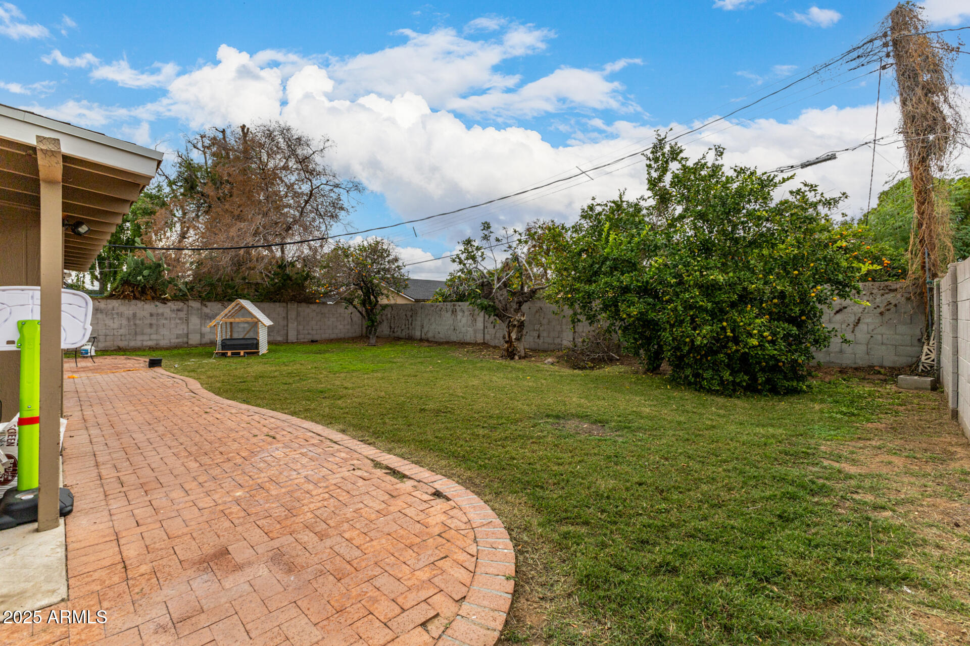 6842 North 10th Place Phoenix, AZ 85014 - Photo 51 of 60 a view of a backyard with large trees
