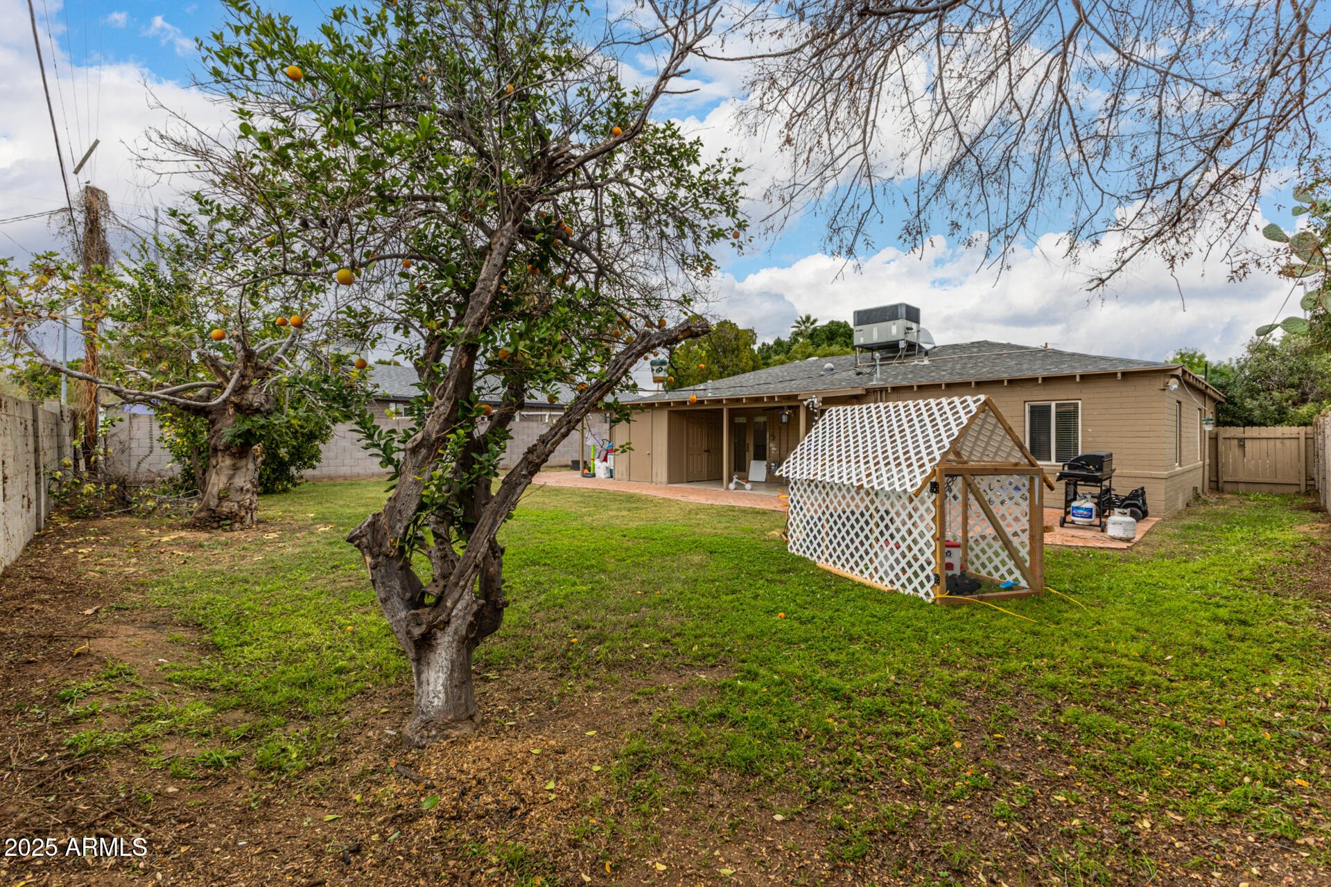 6842 North 10th Place Phoenix, AZ 85014 - Photo 53 of 60 a view of a house with backyard and a tree