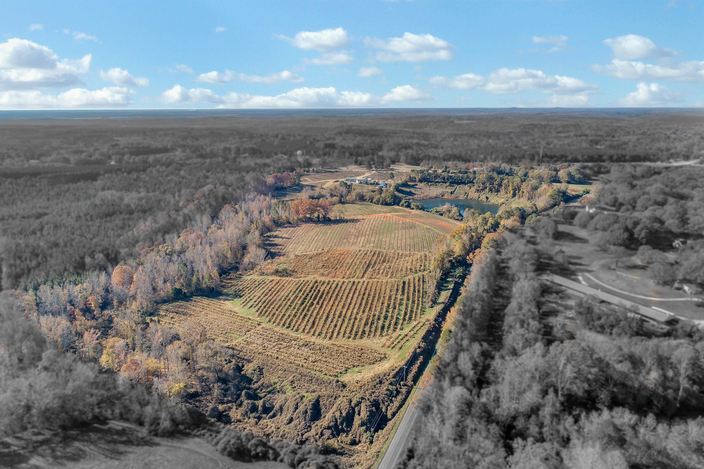 Watson Road Enoree, SC 29335 - Photo 1 of 2 Gallery Image 1