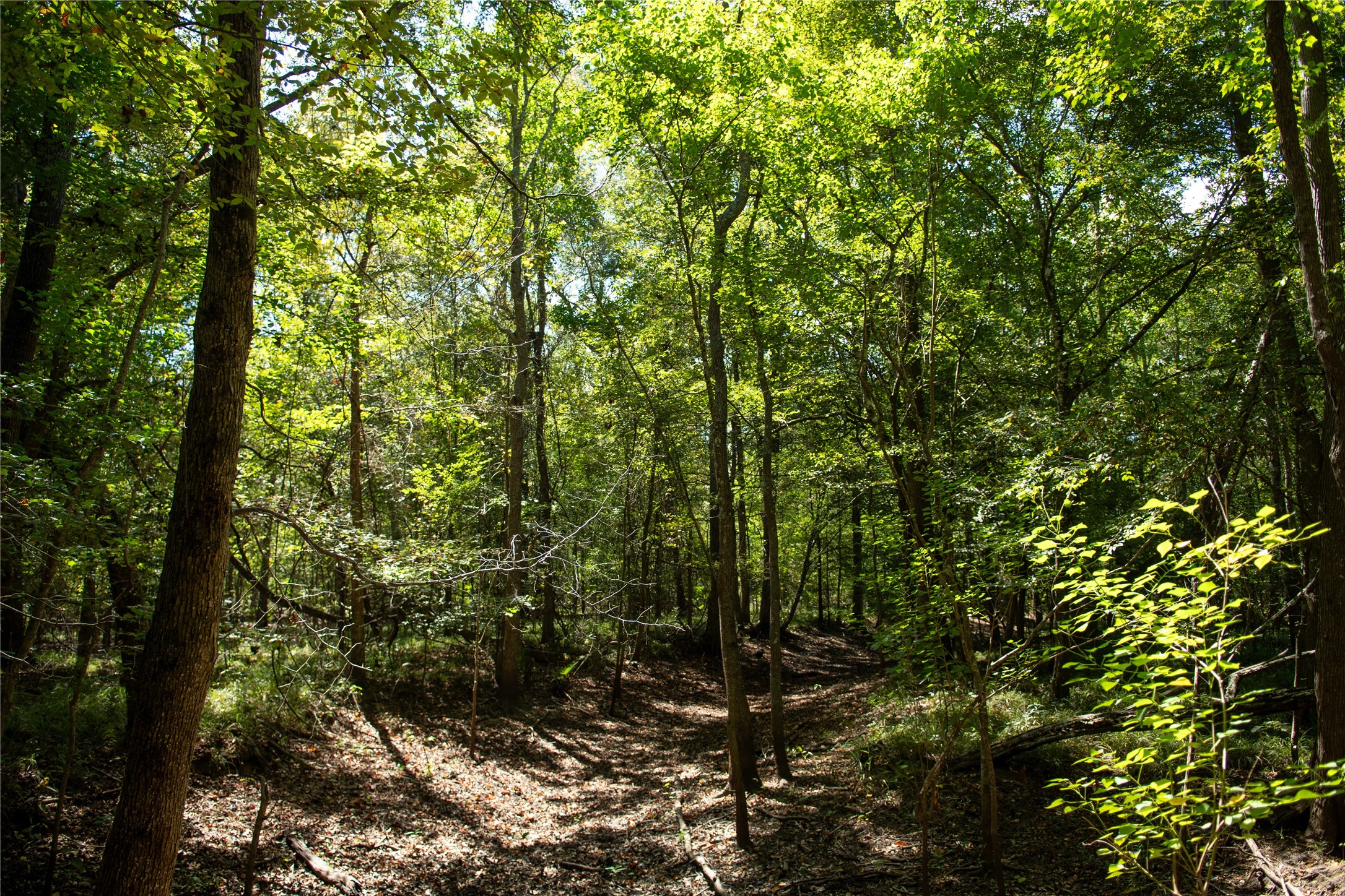 0 Us-59 Diboll, TX 75941 - Photo 11 of 33