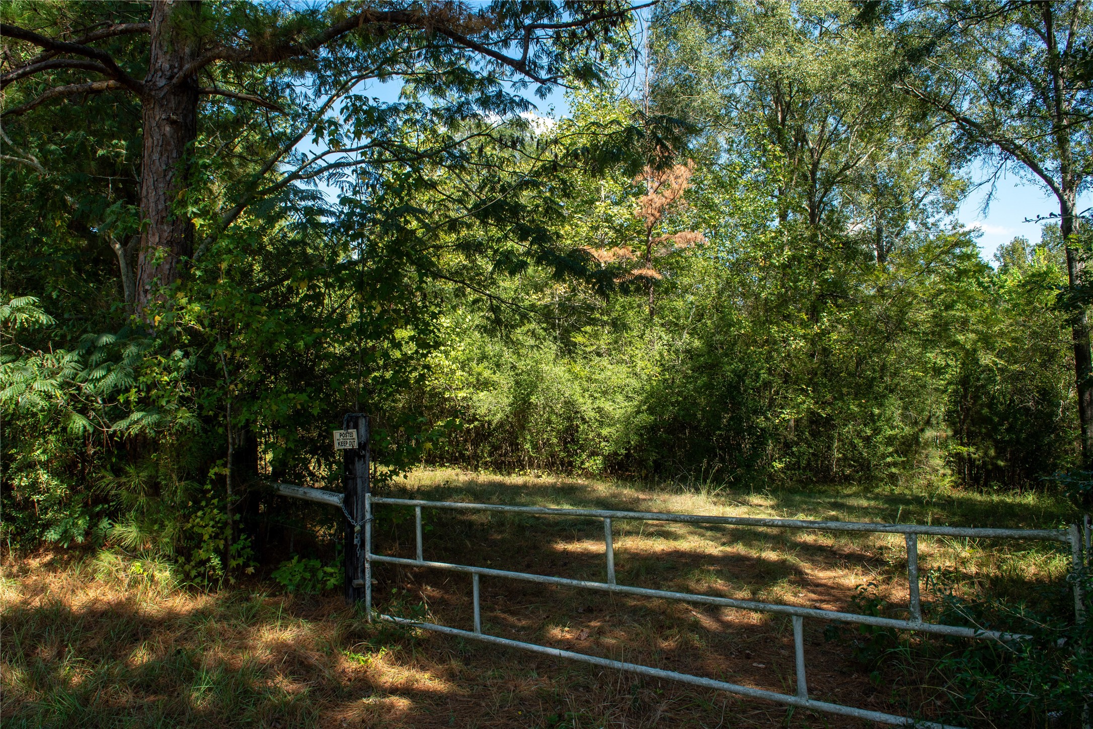 0 Us-59 Diboll, TX 75941 - Photo 14 of 33 a view of backyard with green space
