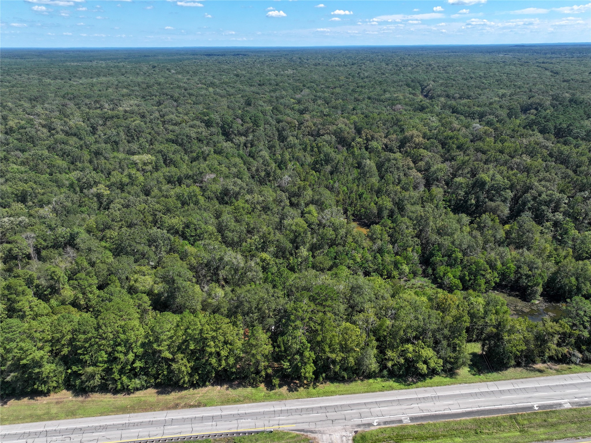 0 Us-59 Diboll, TX 75941 - Photo 15 of 33 a view of a big yard