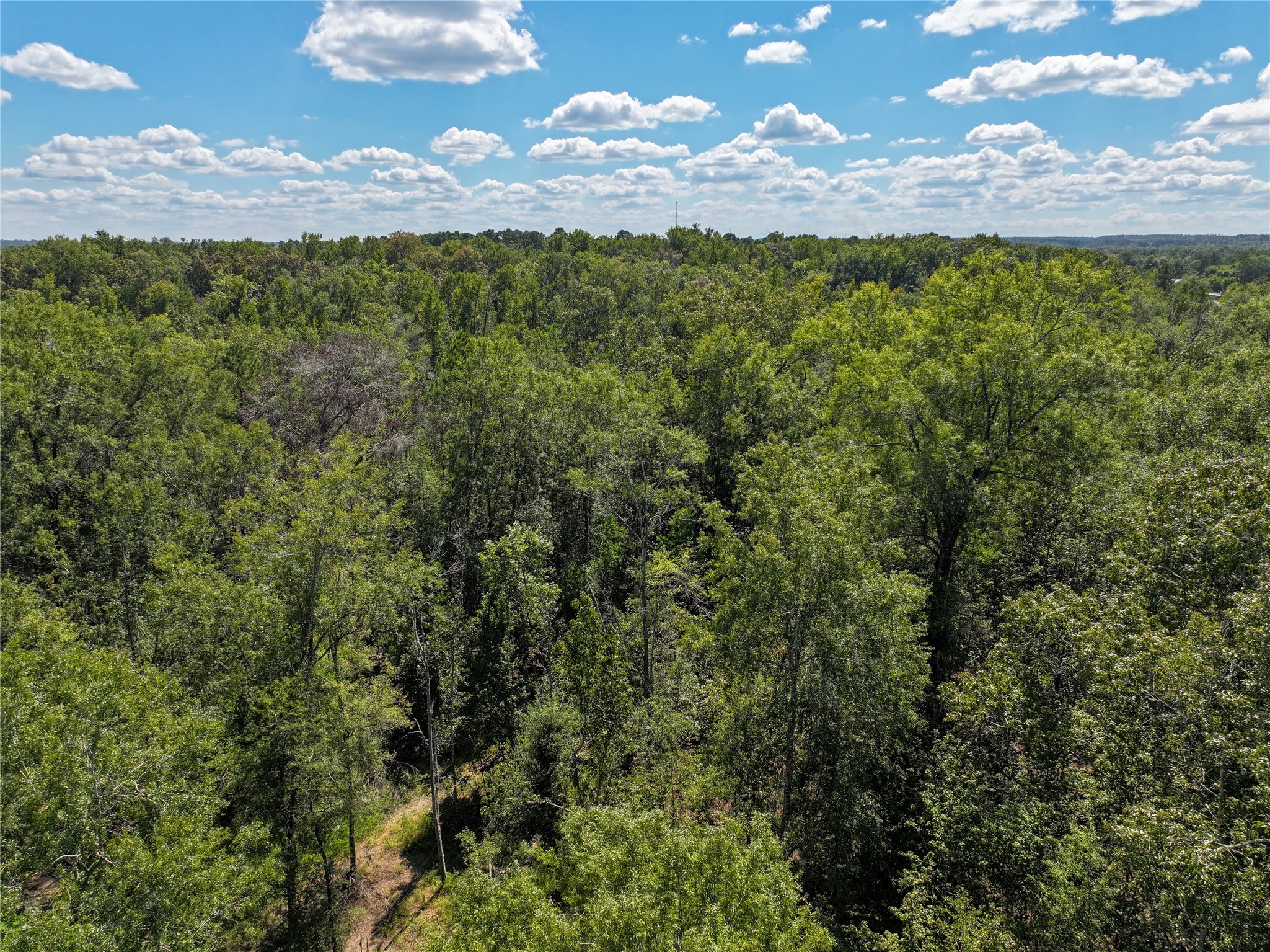 0 Us-59 Diboll, TX 75941 - Photo 16 of 33 a view of a city