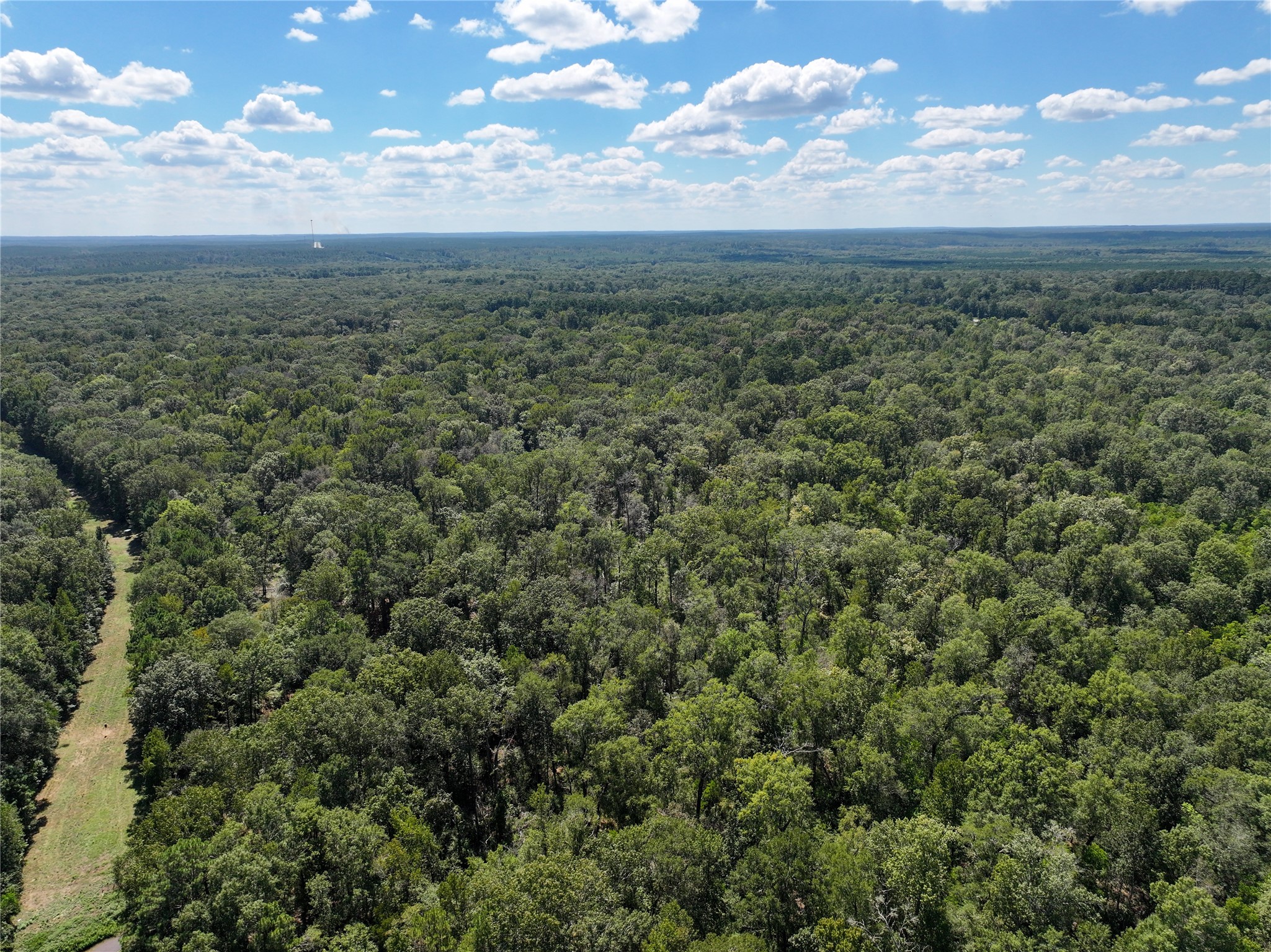 0 Us-59 Diboll, TX 75941 - Photo 17 of 33 a view of a green field
