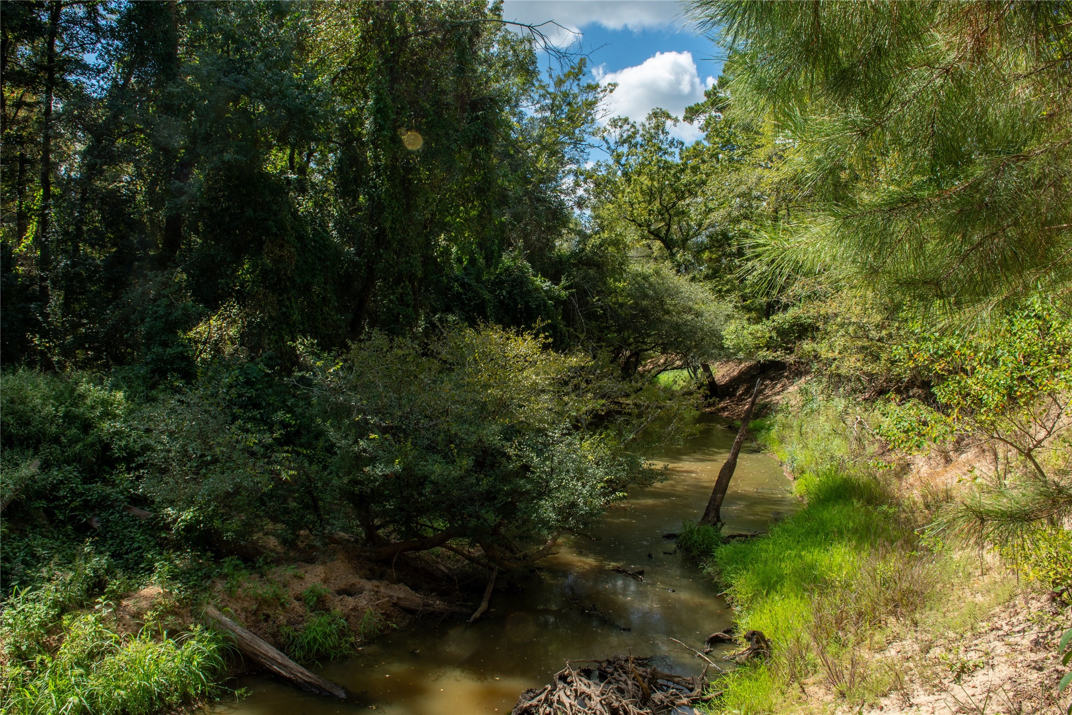 0 Us-59 Diboll, TX 75941 - Photo 22 of 33