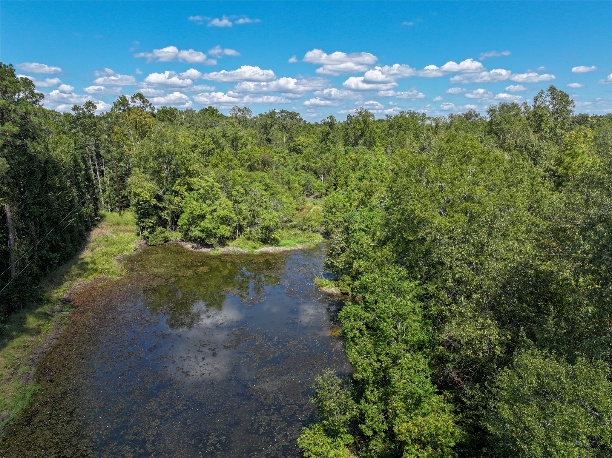 0 Us-59 Diboll, TX 75941 - Photo 6 of 33 a view of a lake with a forest