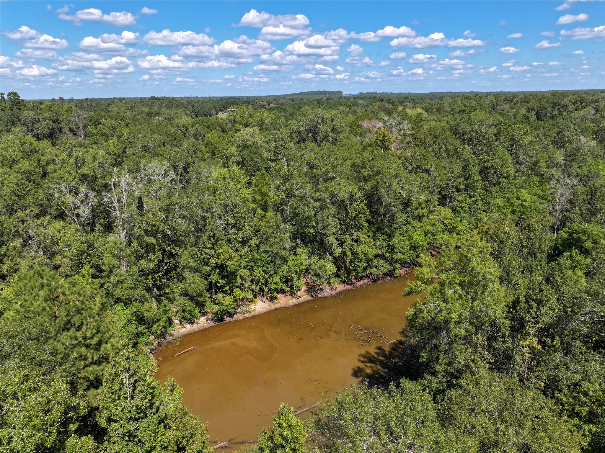 0 Us-59 Diboll, TX 75941 - Photo 7 of 33 a view of a yard with a lake in the background