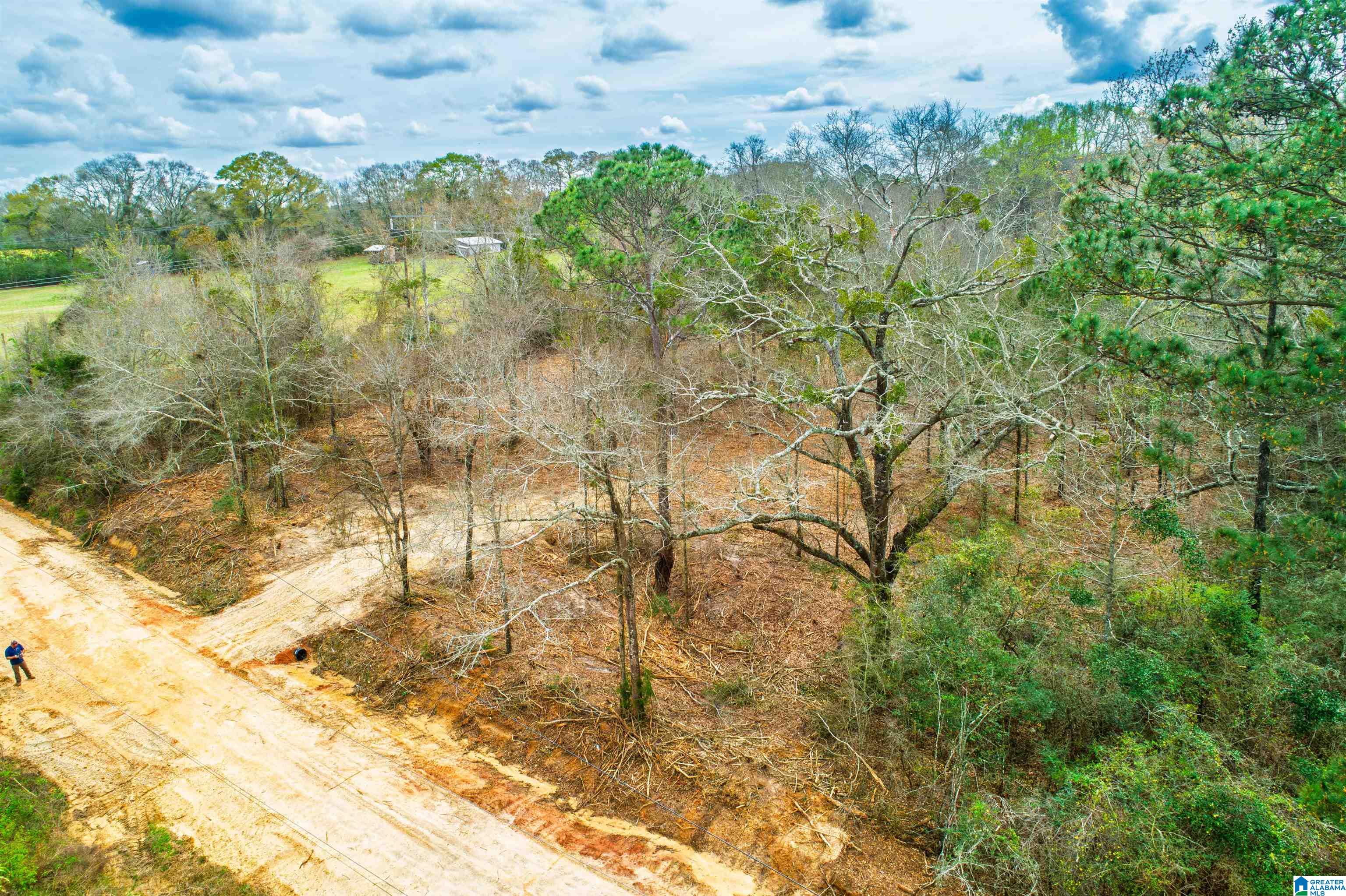 27180 Deer Run Road Opp, AL 36467 - Photo 26 of 60