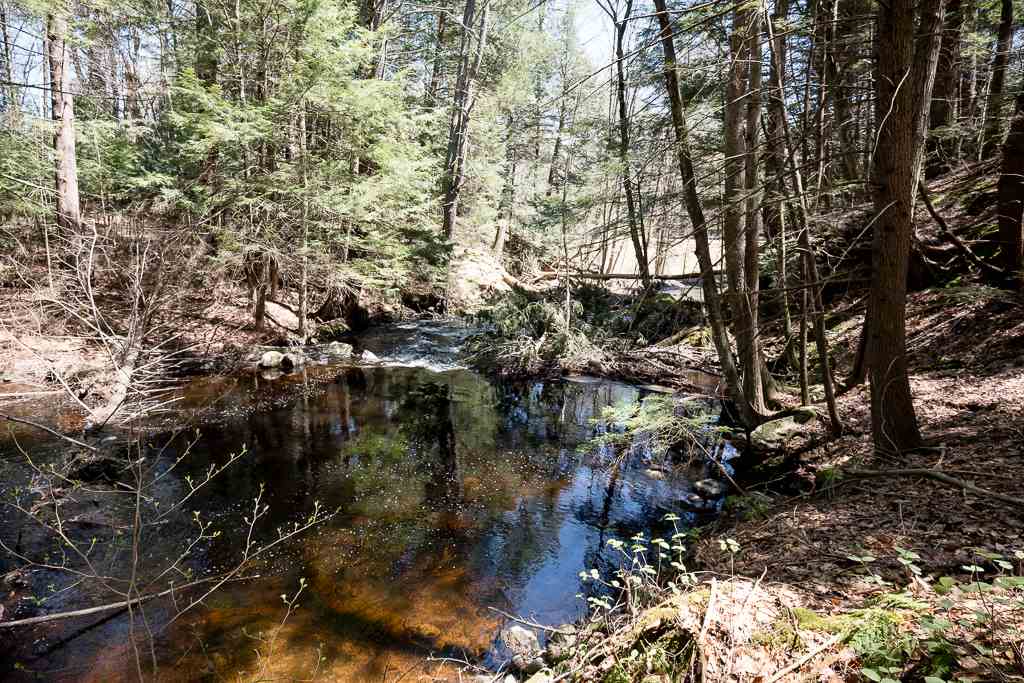 6 Cartland Road Lee, NH 03861 - Photo 39 of 40 Gallery Image 39