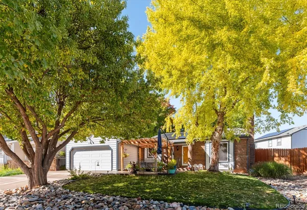 a view of a yard with plants and trees