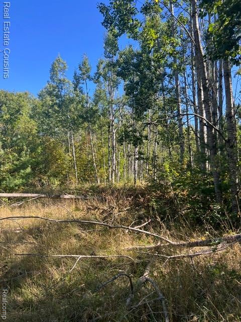 718 Worsh Road Indian River, MI 49749 - Photo 8 of 11 Gallery Image 8