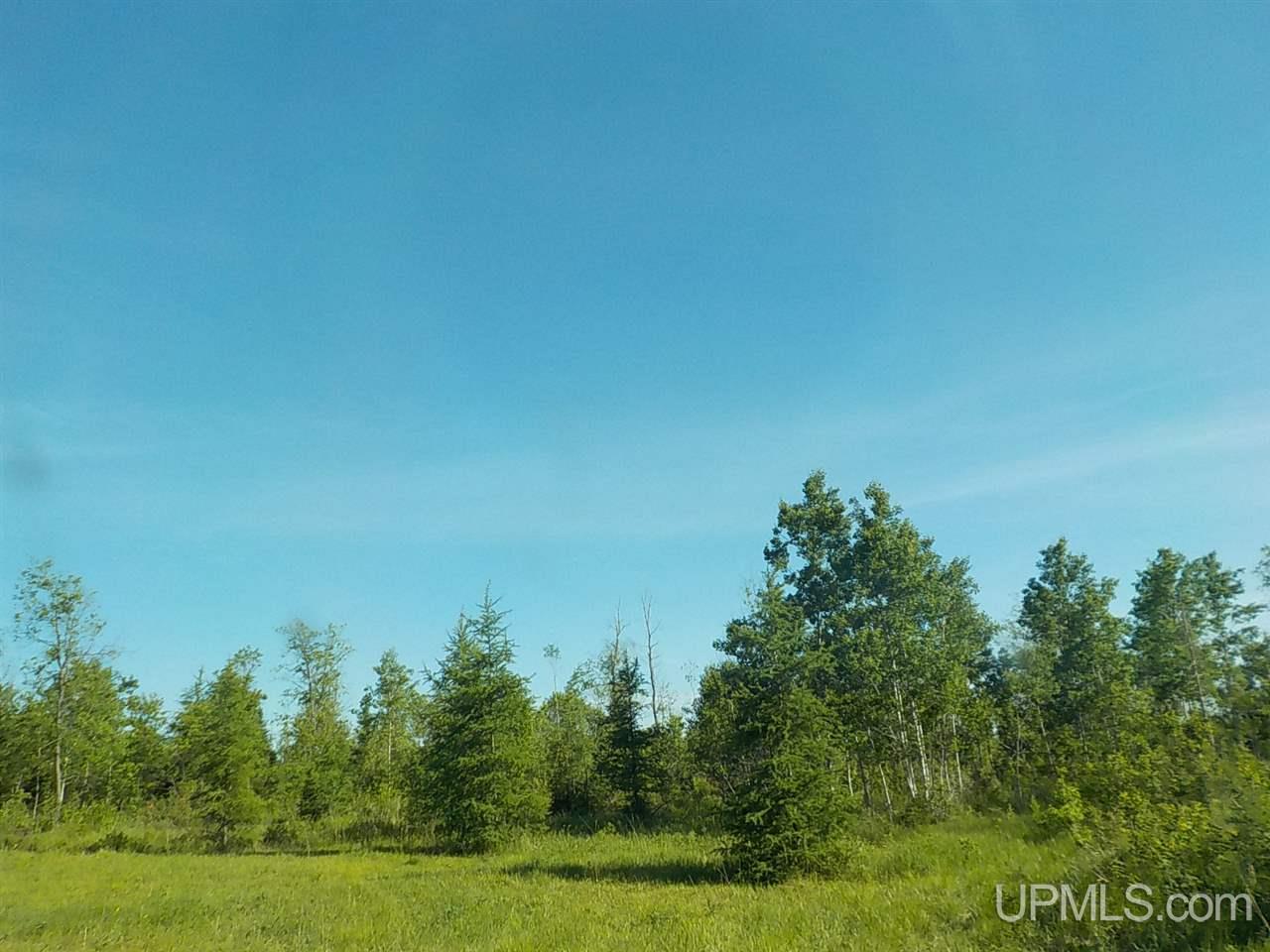 37.25-ac Mihalisko Road Amasa, MI 49920 - Photo 1 of 8