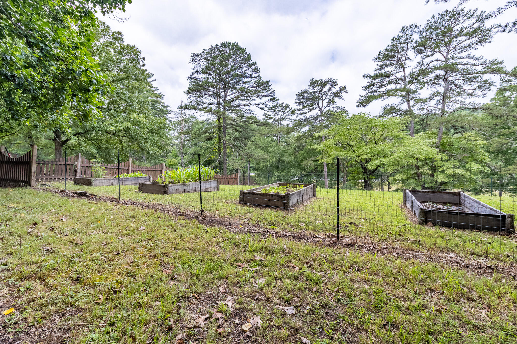 133 Stagg Street Dunlap, TN 37327 - Photo 53 of 65 raised garden beds