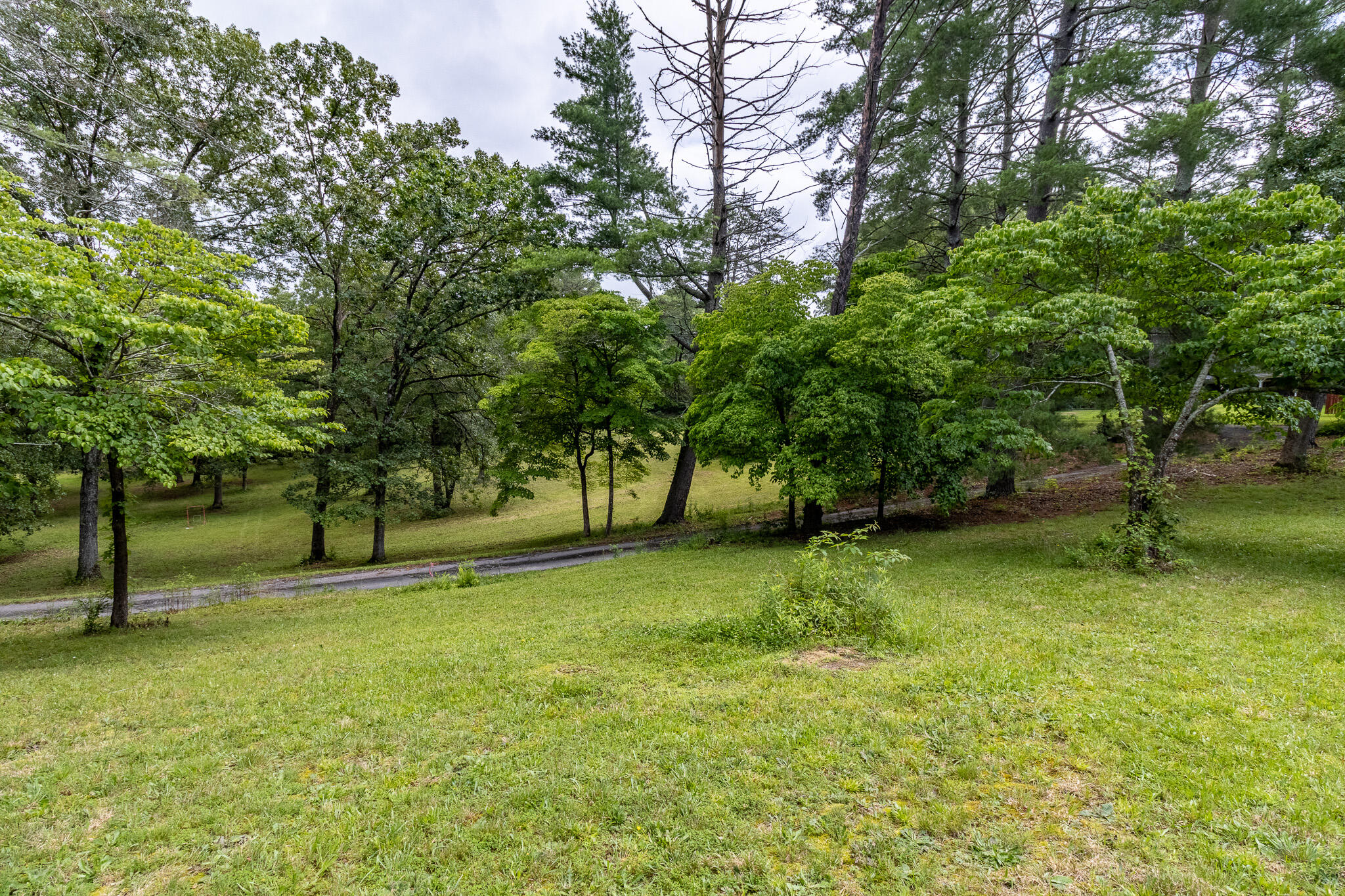 133 Stagg Street Dunlap, TN 37327 - Photo 56 of 65 _MG_0467-HDR