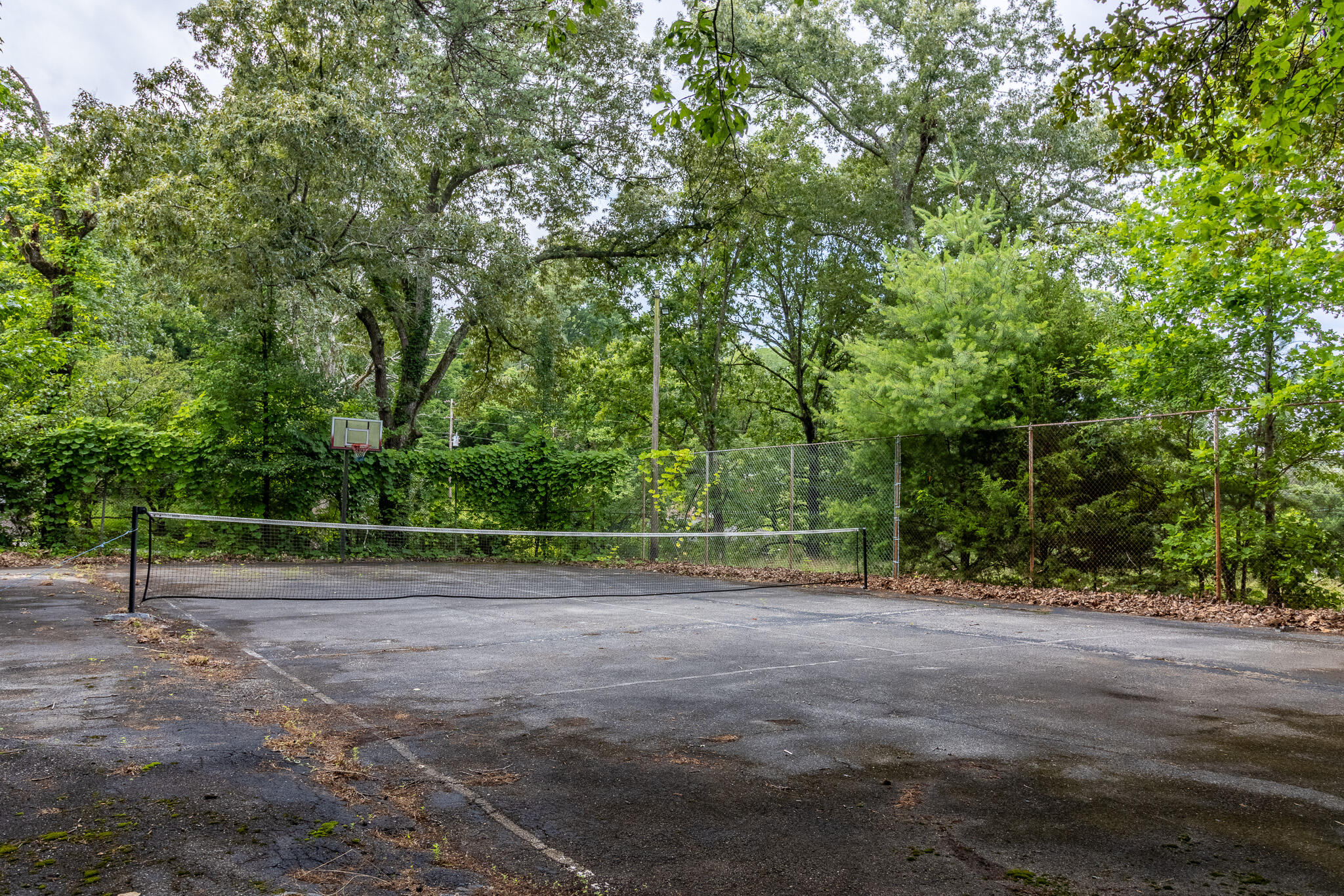 133 Stagg Street Dunlap, TN 37327 - Photo 57 of 65 tennis court