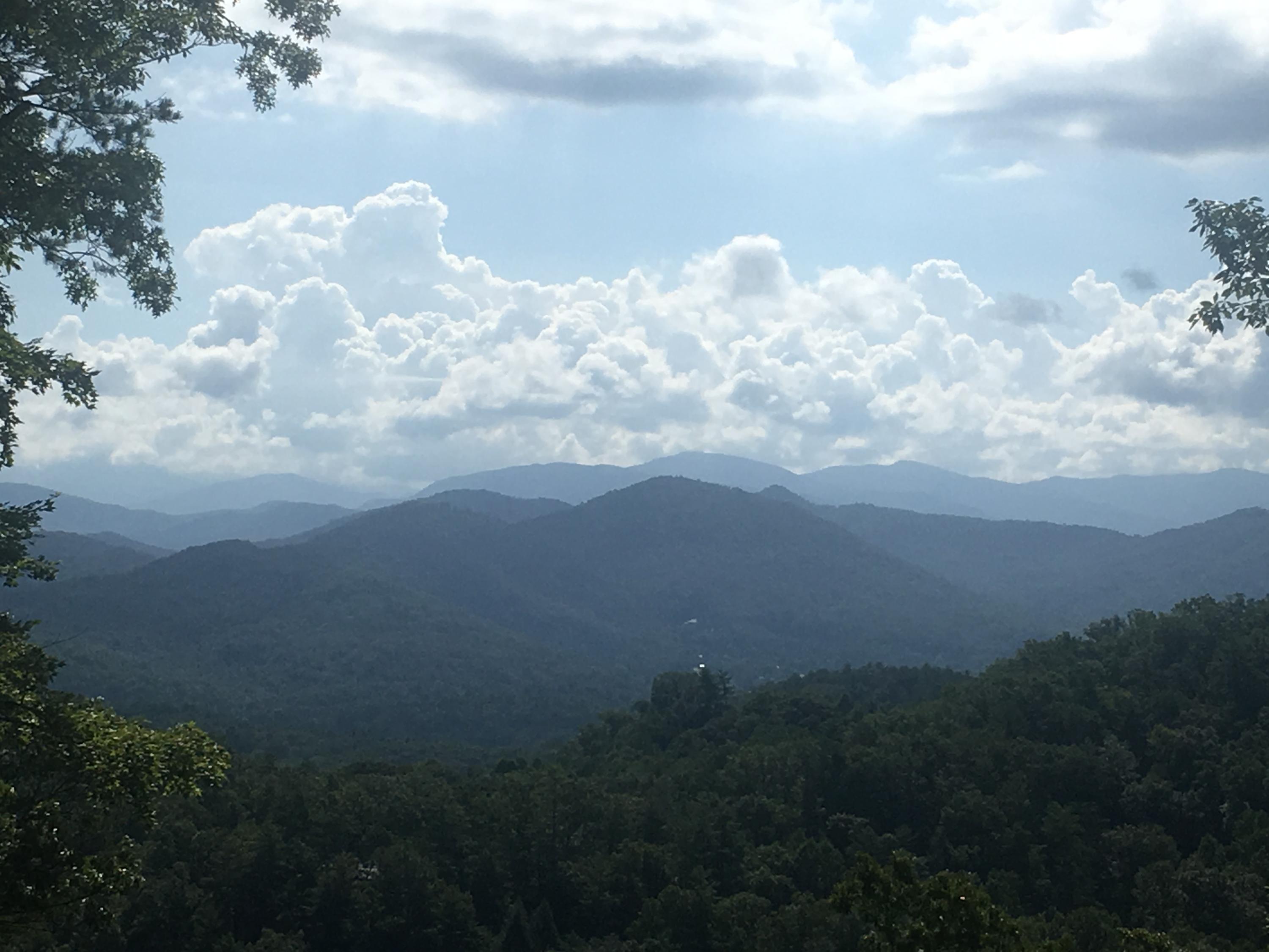 Bear Den Rd Road Townsend, TN 37882 - Photo 1 of 6 Views! Views! Views!