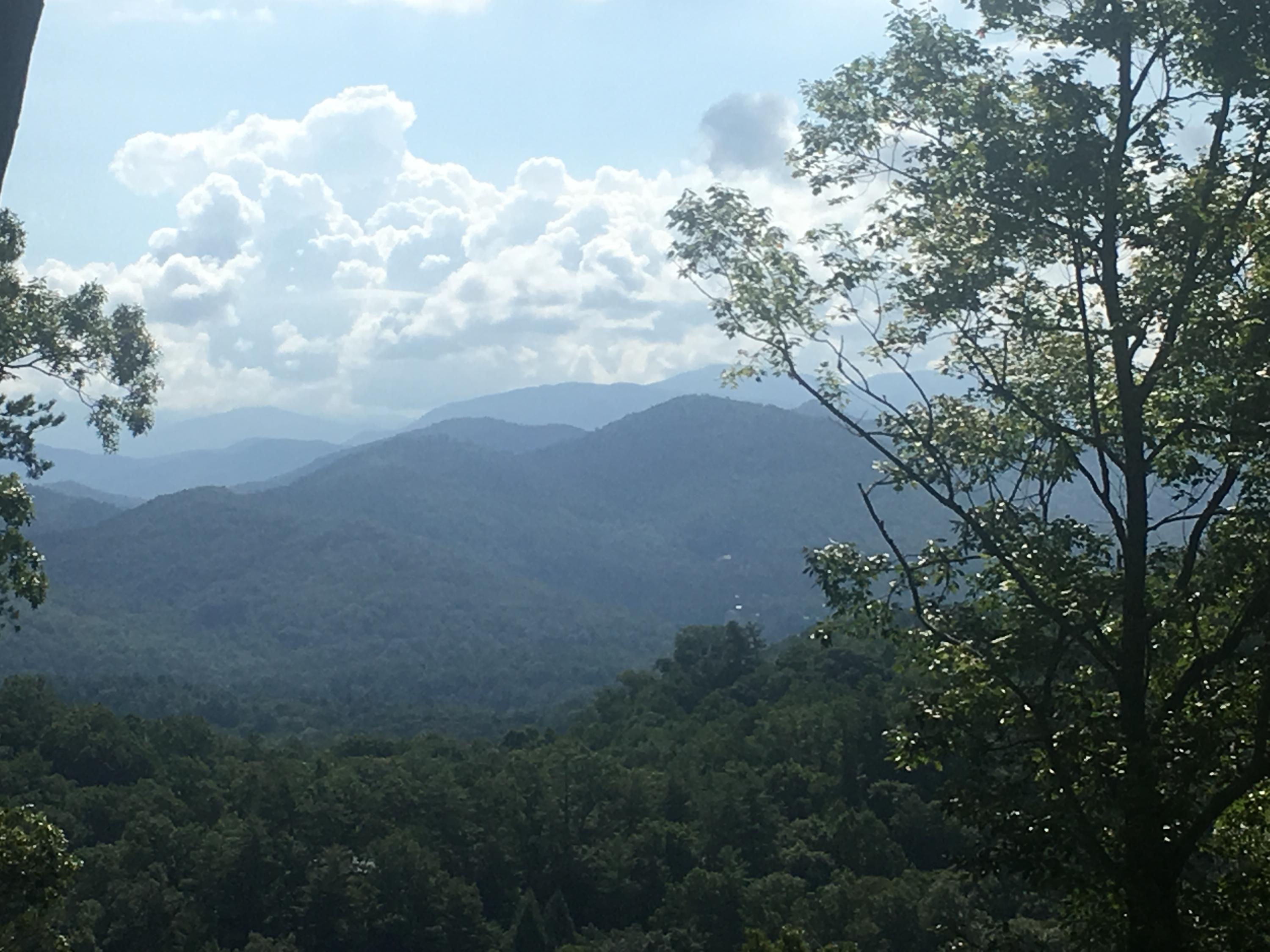 Bear Den Rd Road Townsend, TN 37882 - Photo 2 of 6 Prime building spot!