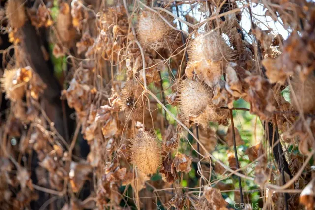 $680,000 | 3371 North Fair Oaks Avenue, Altadena, CA 91001