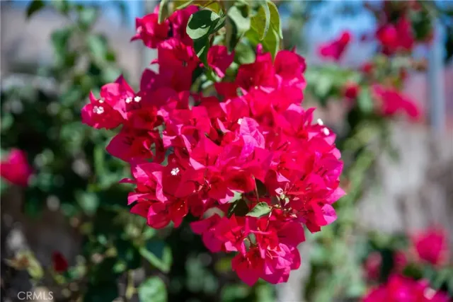 $680,000 | 3371 North Fair Oaks Avenue, Altadena, CA 91001