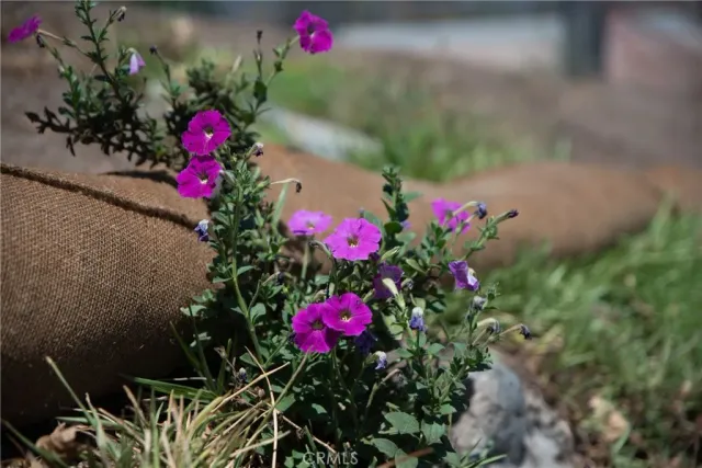 $680,000 | 3371 North Fair Oaks Avenue, Altadena, CA 91001