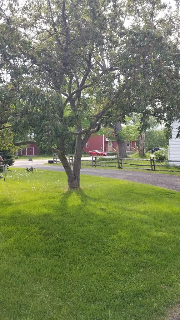 11 Co Rte 42 Fort Covington, NY 12937 - Photo 60 of 60