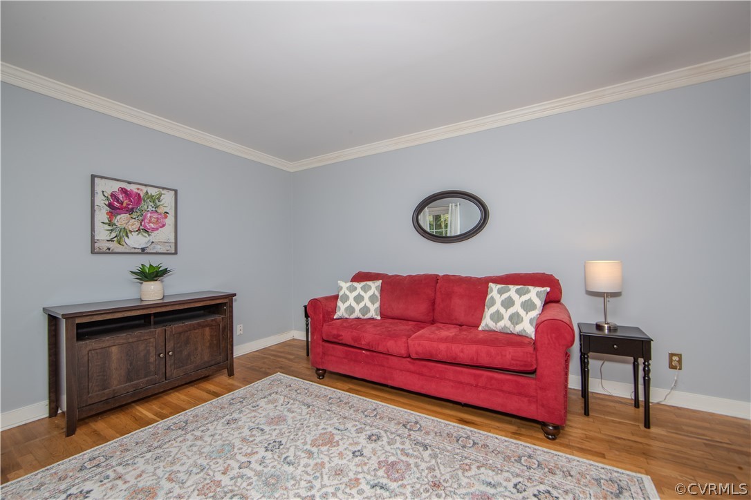 2306 Shadow Ridge Court Midlothian, VA 23112 - Photo 3 of 27 a living room with furniture a rug and a fireplace