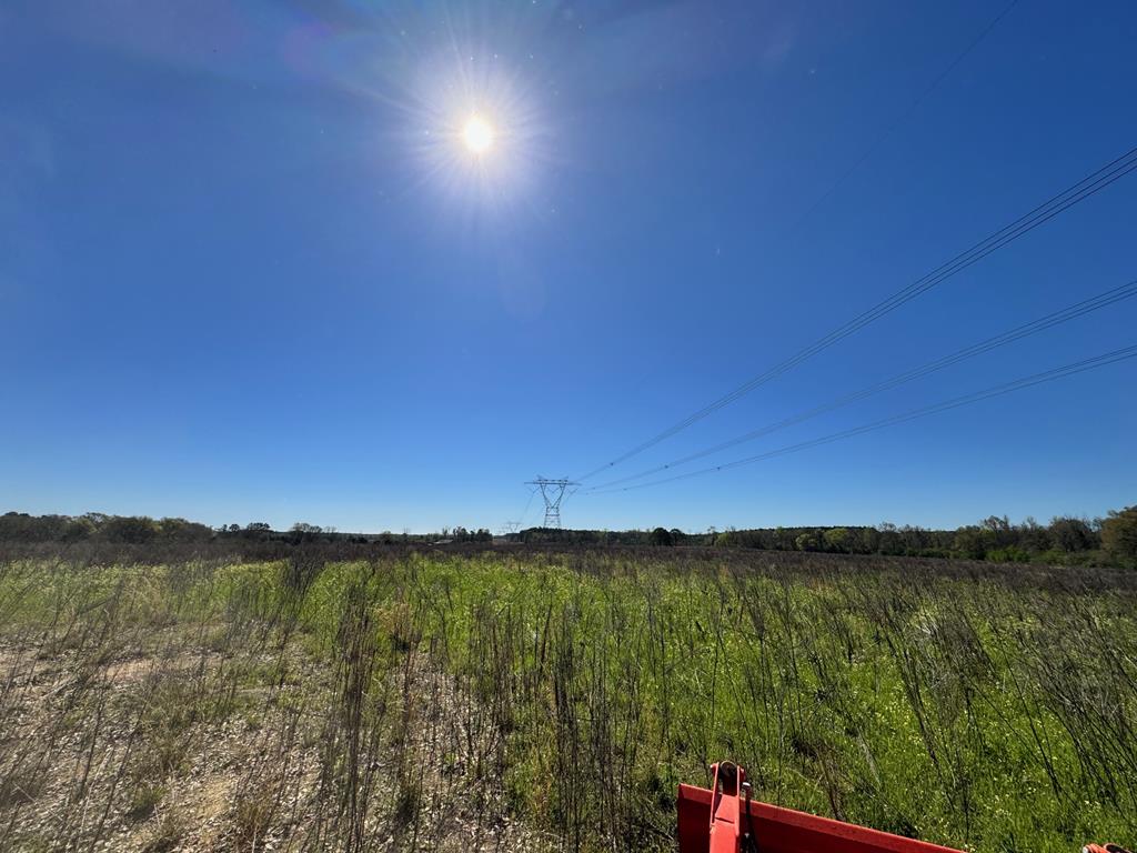 0 Macedonia Ch Road Columbia, AL 36319 - Photo 26 of 61