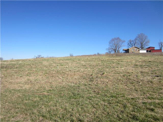 625 Puckett Road Watertown, TN 37184 - Photo 3 of 13