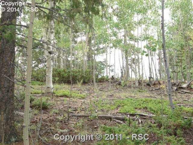 963 Princess Road Cripple Creek, CO 80813 - Photo 1 of 9 Gallery Image 1
