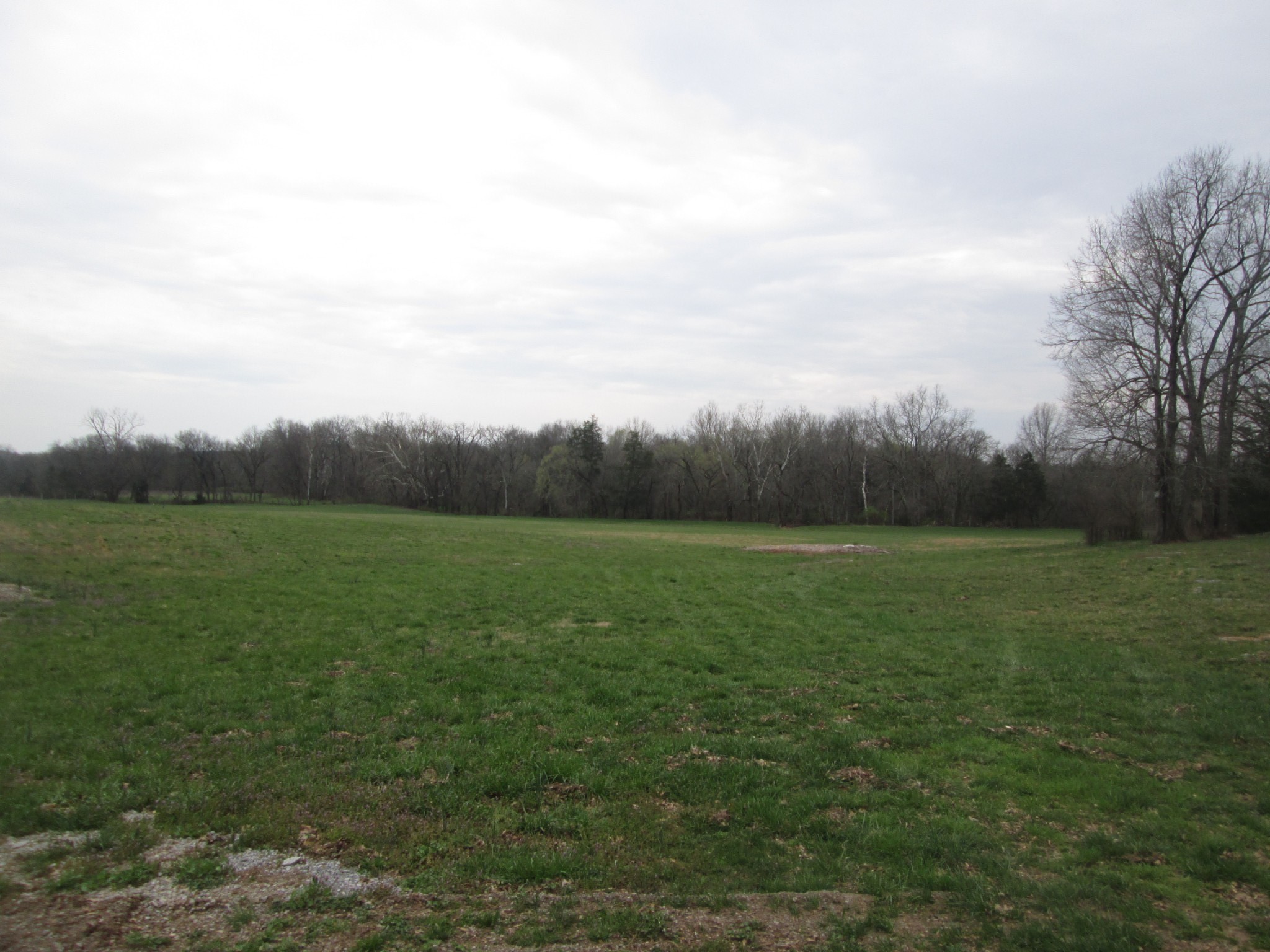 1 Bond Road Lebanon, TN 37090 - Photo 3 of 9 a view of an outdoor space and a yard